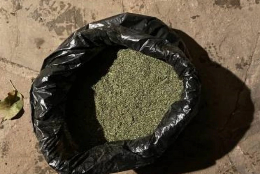 У травника из Ростовской области нашли 6,5 кг марихуаны