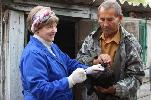 В Ростовской области привили от гриппа 1 млн 642 тысячи птиц