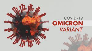 Ученые нашли антитела, нейтрализующие штамм Omicron
