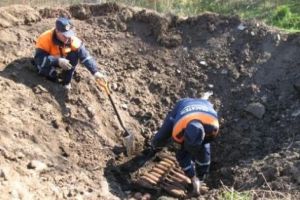 Палеонтологи откопали древний череп слона в Ростовской области