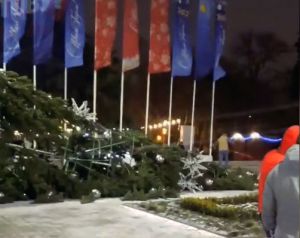 В Ростове-на-Дону сильный порыв ветра свалил главную городскую елку